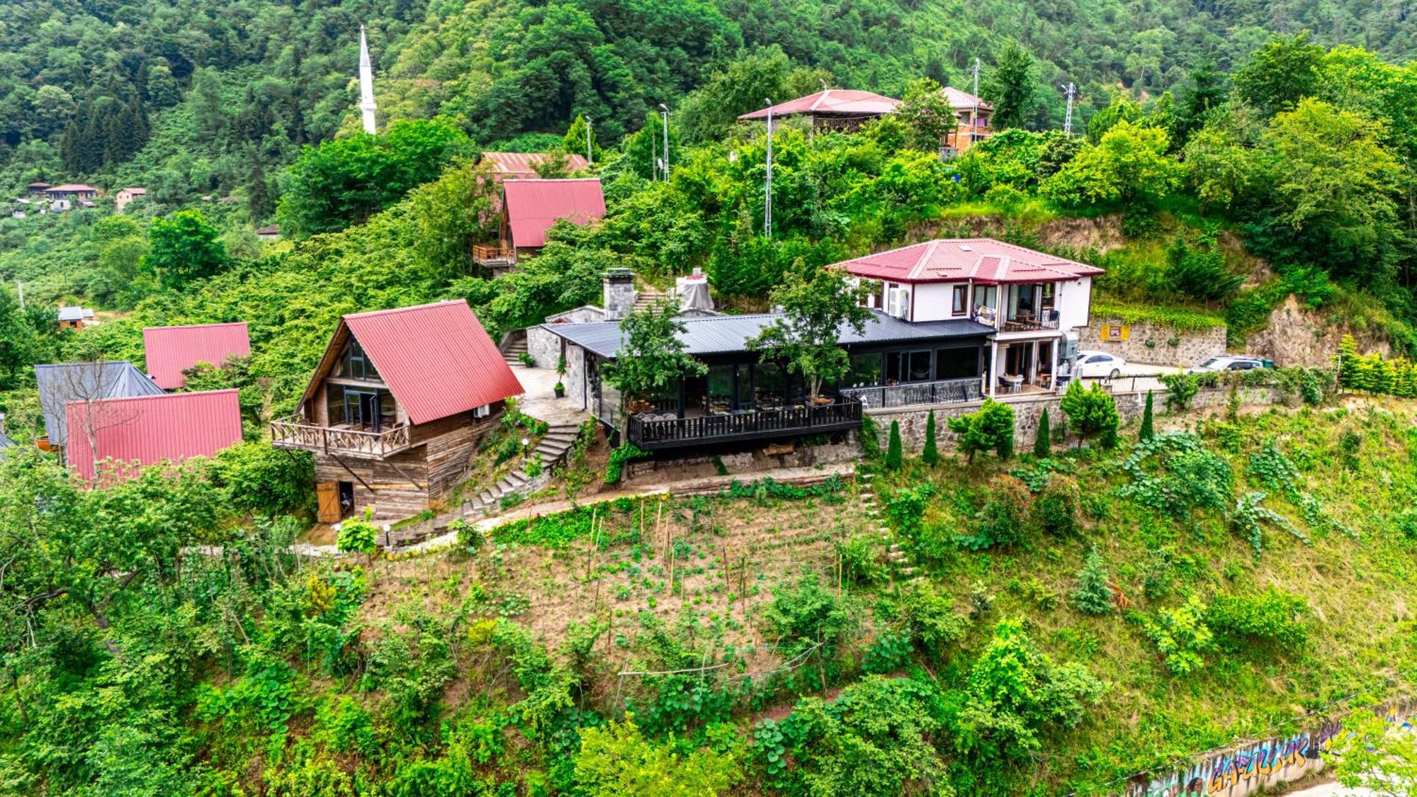 Gafulluk Tatil Koeyue Aparthotel Araklı Εξωτερικό φωτογραφία